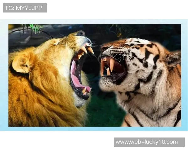 奥格斯塔与柏林联的激烈对决展现足球魅力与团队精神